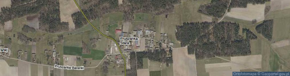 Zdjęcie satelitarne Pruszanka Stara ul.
